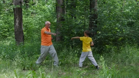 Active elderly man and little boy practicing punches with stance change Stock Footage 314494143