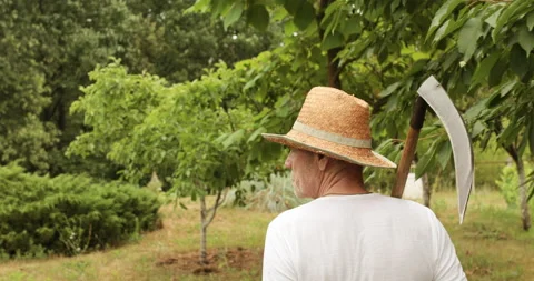 Active farmer walking of his plot with scythe Stock Footage 155737544