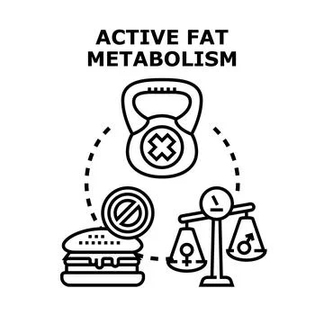 Active fat metabolism process managing diet and exercise Иллюстрация