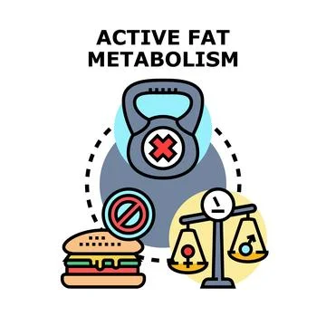 Active fat metabolism process managing diet and exercise Stock Illustration