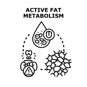 Active fat metabolism science research medical concept Stock Illustration