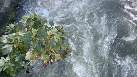 Active flow of water in the channel after rain. View from above Stock Footage 261027919
