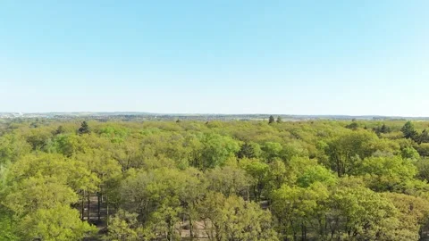 Active forest management and forestry care, Drone perspective of forest man.. Stock Footage 340294762