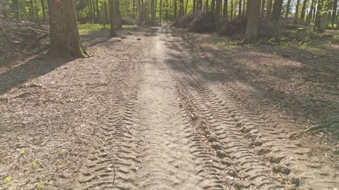 Active forest management and forestry care, Drone perspective of forest man.. Stock Footage 340650500
