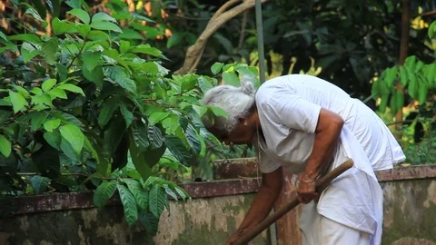 Active Grandma Stockbeeldmateriaal 82558929