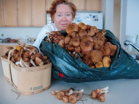 Active hobby Stock Photos