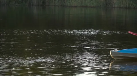 Active holiday in a kayak Stock Footage 68478657