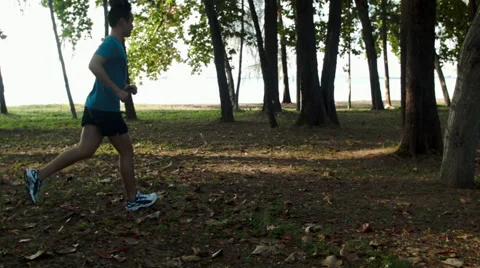 Active jogger exercising in park Stock Footage 53081813