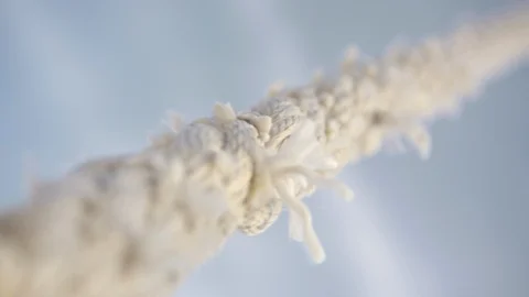 Active lifestyle. Video stock 96527906