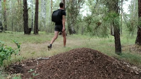 An active lifestyle Stock Footage 247164802