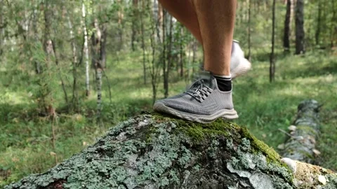 An active lifestyle Stock Footage 247164865