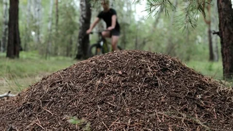 An active lifestyle Stock Footage 247248423