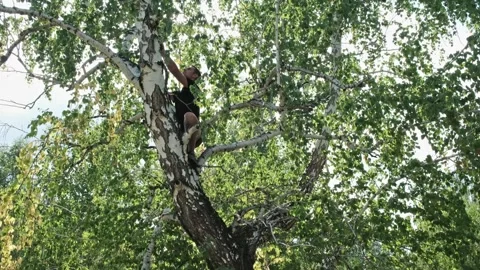 An active lifestyle Stock Footage 247248568