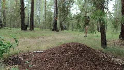 An active lifestyle Stock Footage 247456418