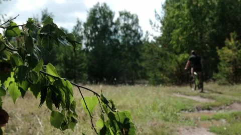 An active lifestyle Video stock 247456423