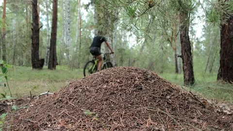 An active lifestyle Video stock 247456495