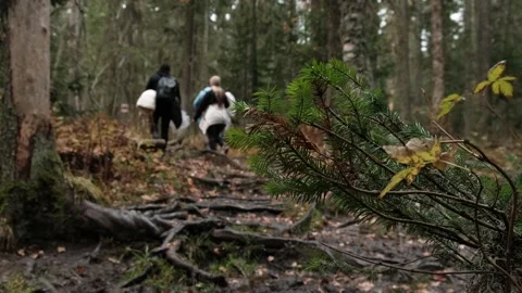 Active lifestyle Stock Footage 252193605