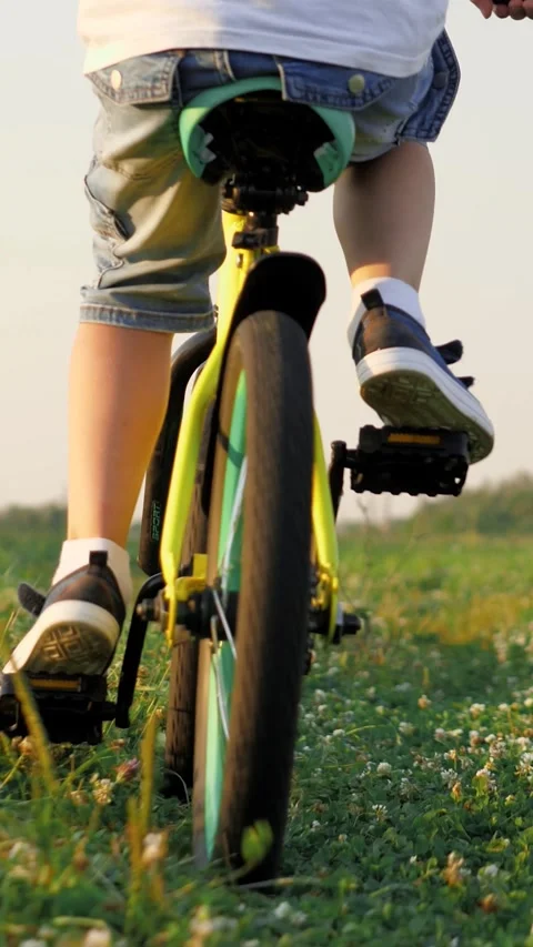 Active little boy rides fast bicycle across grassy field in summer evening Stock Footage 269830134