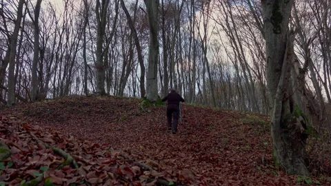 Active man with backpack hiking through forest path covered with fallen leaves Stock Footage 224061311