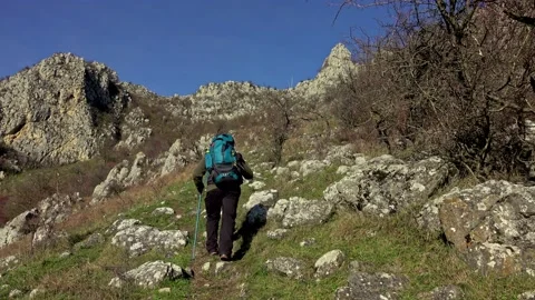 Active man with backpack hiking through the rocky meadows Stock Footage 224063013