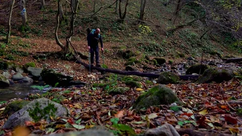 Active man crossing the river, hiking through the forest path Stock Footage 220737874