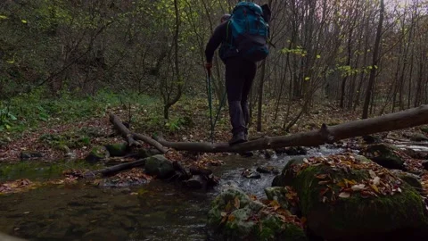 Active man crossing the river, hiking through the forest path Stock Footage 220737959