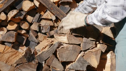Active Man in a Plaid Shirt Stacks Firewood on a Woodpile in 4K Stock Footage 85873163