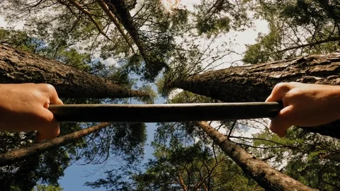Active man pulling up on wooden crossbar between natural trees at summer forest Stock Footage 219434093
