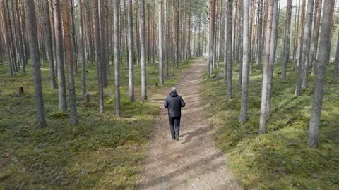 Active man running through the forest Video stock 153105262