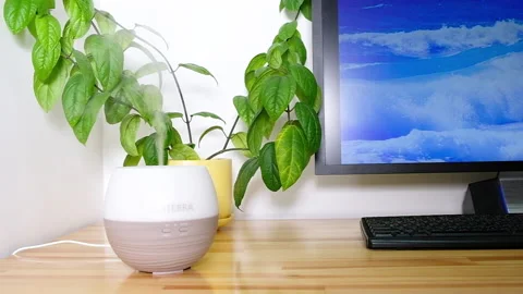 Active Natural Essential Oil Diffuser Stock Footage 168690390