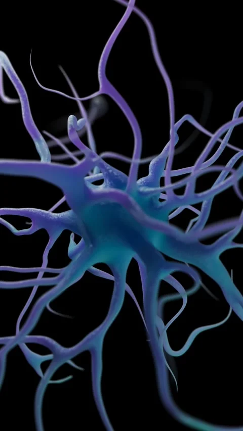 Active nerve cell Stock Footage 284048221