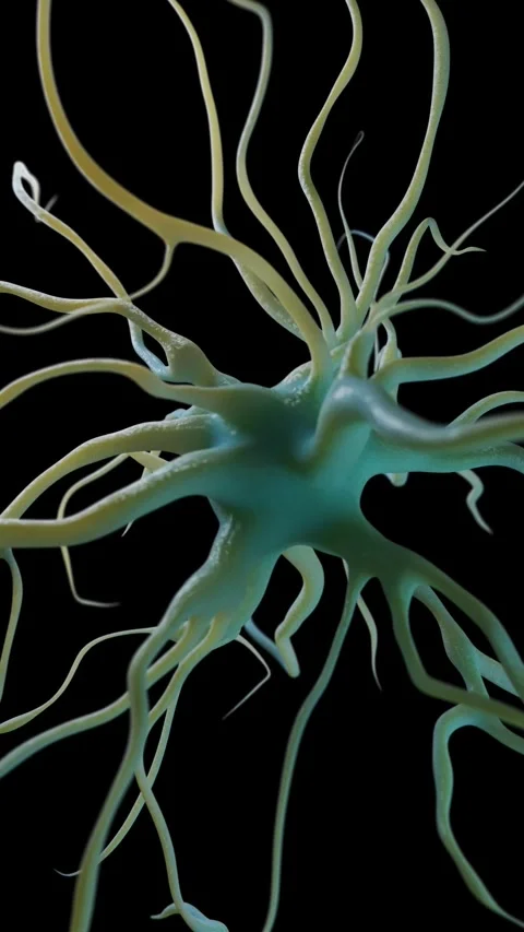 Active nerve cell Stock Footage 284048226