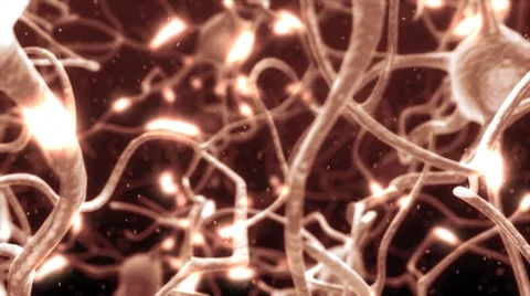 Active nerve cell in human neural system 스톡 동영상 8600763