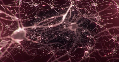 Active nerve cell in human neural system 스톡 동영상 49285150