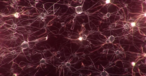 Active nerve cell in human neural system 스톡 동영상 49291108