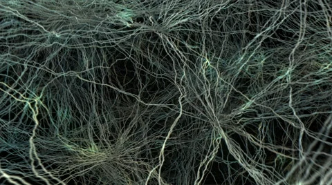 Active Nerve Cell In Human Neural System. Stock Footage 55226032