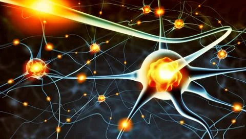 Active nerve cells Stock Photos