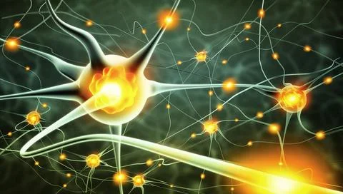 Active nerve cells Stock Photos