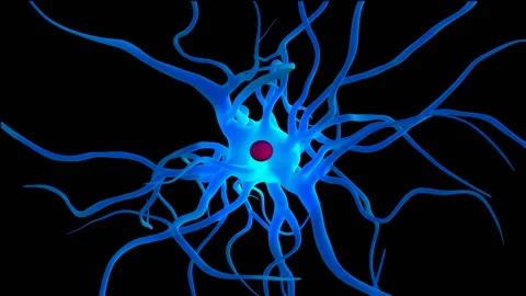 Active Nerve or Neuron in Human Brain Vidéo 156537767