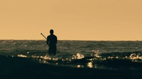 Active paddle boarder. Black sunset silhouette of young sportsman Stock Footage 138038243