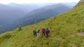 The active people with backpacks walking up on a mountain 4k or 4k+ Resolution