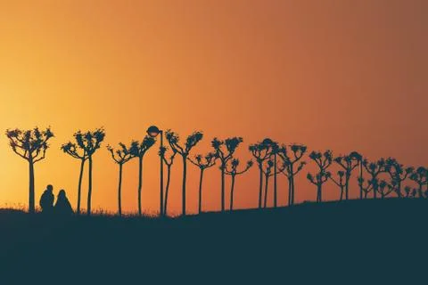 Active people walking at the sunset Stock Photos