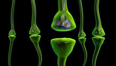 Active receptor Stock Illustration