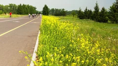 Active recreation in the park, Time Lapse, Long Exposure Stock Footage 22333606