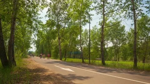 Active recreation in the park, Time Lapse, Long Exposure Stock Footage 22412482