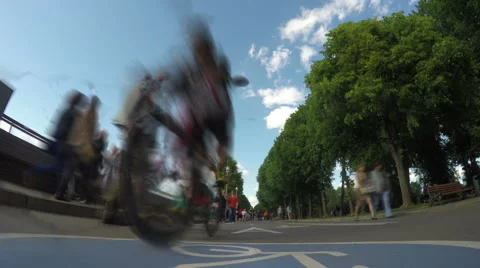 Active Recreation in the Park TimeLapse Stock Footage 61364010