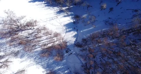 Active recreation of people in the mountains. Video stock 148083949
