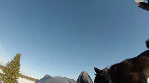 Active rest, the descent from the hill. Snow tubing . Stock Footage 69119373