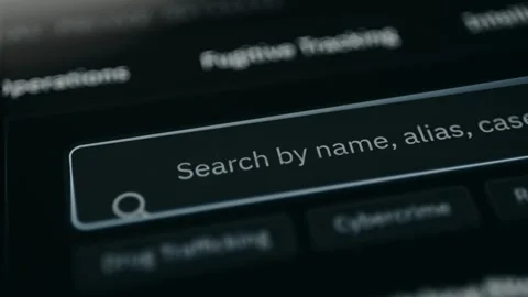 Active search bar by name, alias, case number from a criminal police database Stock Footage 331572458