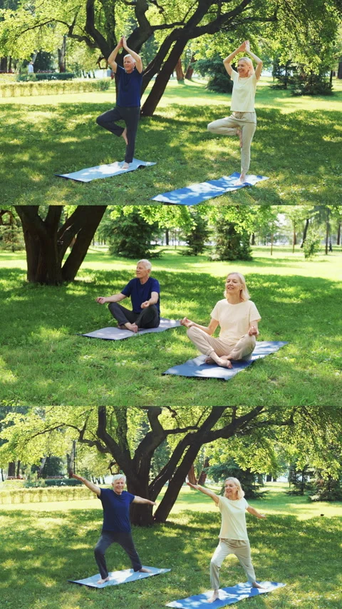 Active senior couple practicing yoga and meditation in summer park 스톡 동영상 333203711
